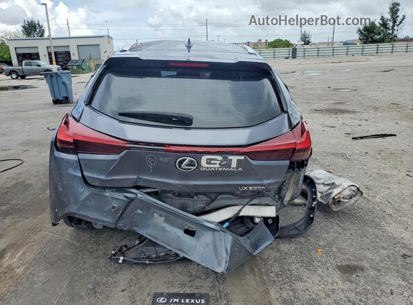 JTHP6JBHXP2150555 2023 LEXUS UX Серый Вид сзади