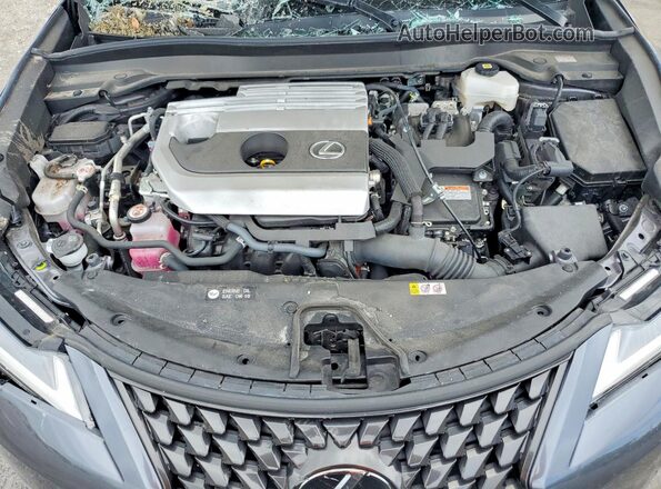 JTHP6JBHXP2150555 2023 LEXUS UX Серый Вид задней части салона