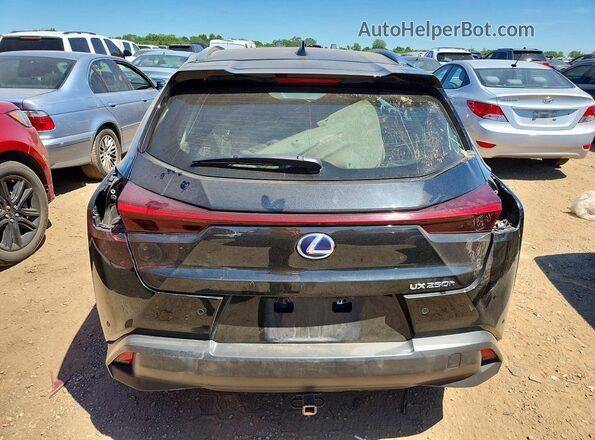 JTHP9JBH0L2032919 2020 LEXUS UX Black Widok z tyłu