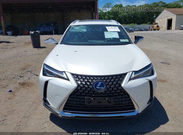JTHP9JBH0M2051715 2021 LEXUS UX 250H White Սարքավորումների վահանակի տեսք