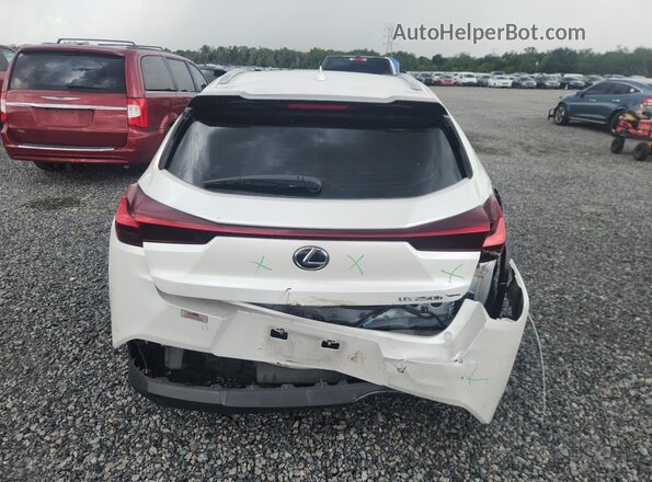 JTHP9JBH1L2022402 2020 LEXUS UX White Вид ззаду