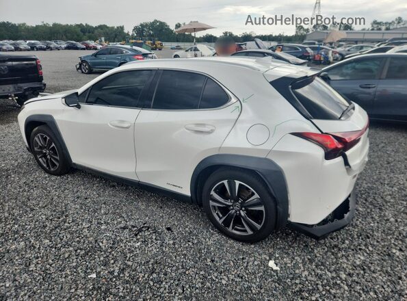 JTHP9JBH1L2022402 2020 LEXUS UX White Задня ліва чверть