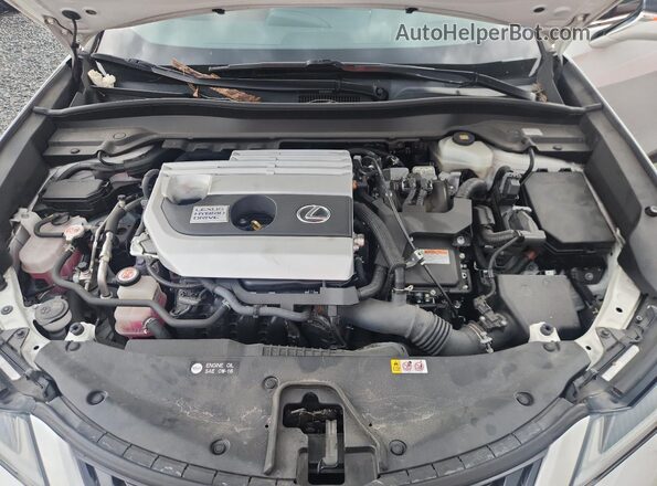 JTHP9JBH1L2022402 2020 LEXUS UX White Вид задньої частини салону
