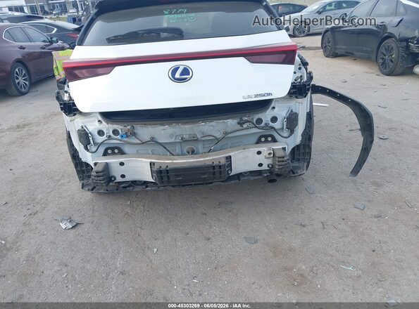 JTHP9JBH1L2033044 2020 LEXUS UX 250H Белый Вид спереди