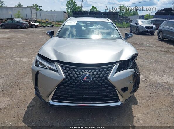 JTHP9JBH2L2020142 2020 LEXUS UX 250H Gray Առջևի վահանակի տեսք