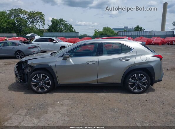 JTHP9JBH2L2020142 2020 LEXUS UX 250H Gray Սալոնի հետևի տեսք