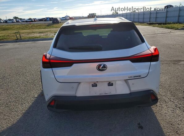 JTHP9JBH2M2044023 2021 LEXUS UX White Вид ззаду