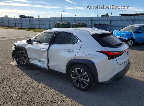 JTHP9JBH2M2044023 2021 LEXUS UX White Задня ліва чверть