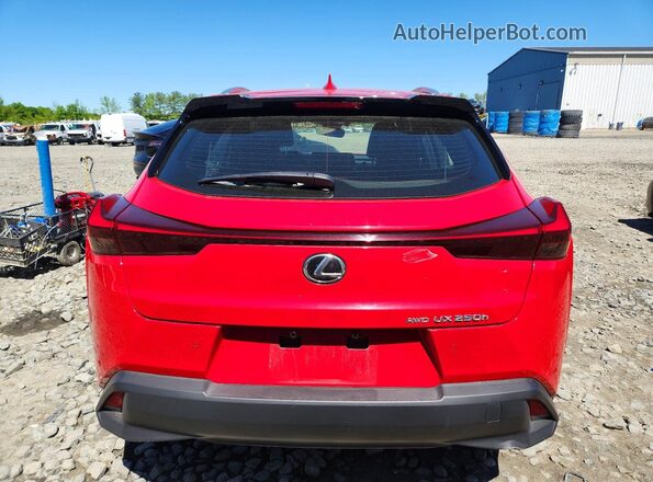 JTHP9JBH2P2063448 2023 LEXUS UX Red Vista trasera