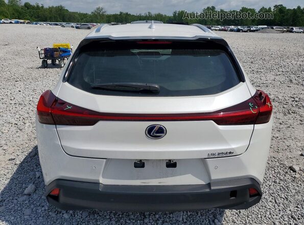 JTHP9JBH3N2056750 2022 LEXUS UX White Հետևի տեսք
