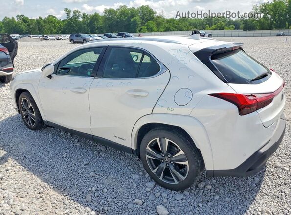 JTHP9JBH3N2056750 2022 LEXUS UX White Հետևի ձախ