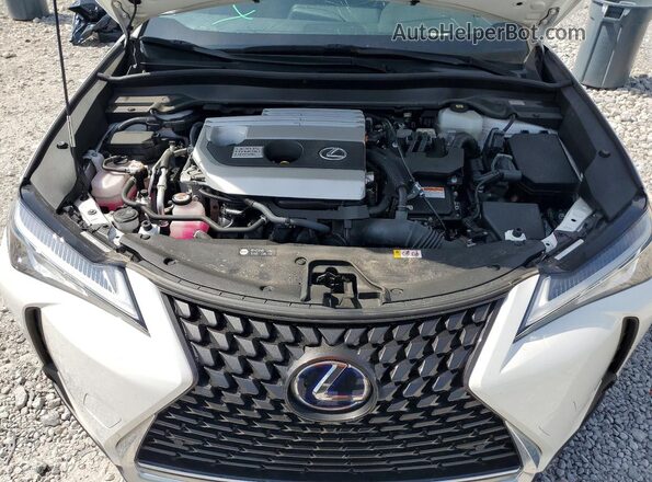 JTHP9JBH3N2056750 2022 LEXUS UX White Շարժիչի բաժամունքի տեսք