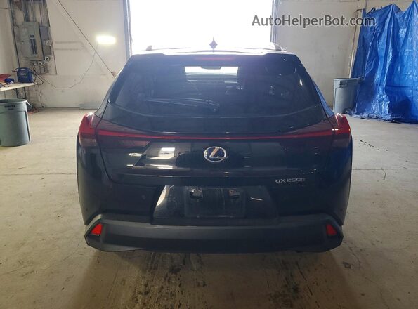 JTHP9JBH4N2058118 2022 LEXUS UX Black Widok z tyłu