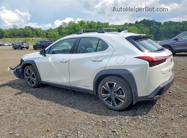 JTHP9JBH5L2026131 2020 LEXUS UX White Հետևի ձախ