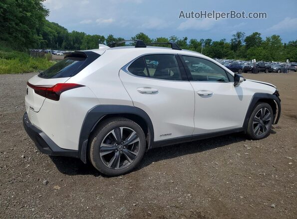 JTHP9JBH5L2026131 2020 LEXUS UX White Հետևի աջ