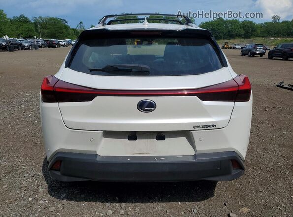 JTHP9JBH5L2026131 2020 LEXUS UX White Հետևի տեսք