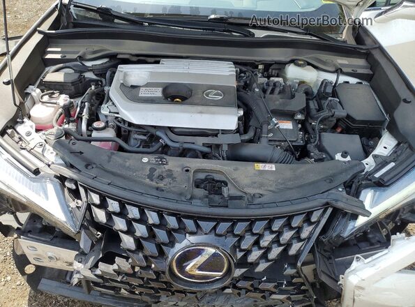 JTHP9JBH5L2026131 2020 LEXUS UX White Շարժիչի բաժամունքի տեսք