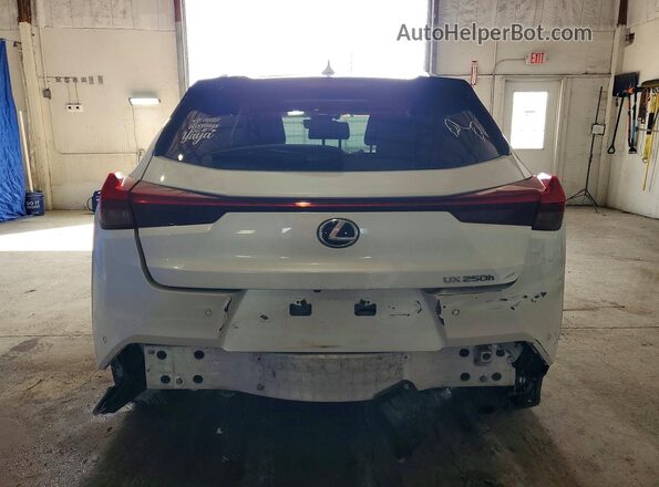 JTHP9JBH5L2036433 2020 LEXUS UX White Vista trasera