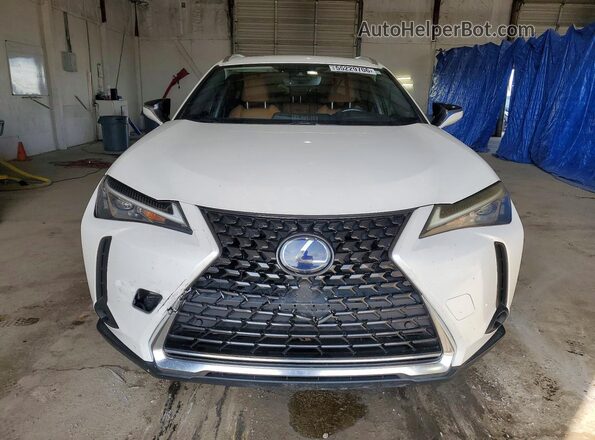 JTHP9JBH5L2036433 2020 LEXUS UX White Vista frontal