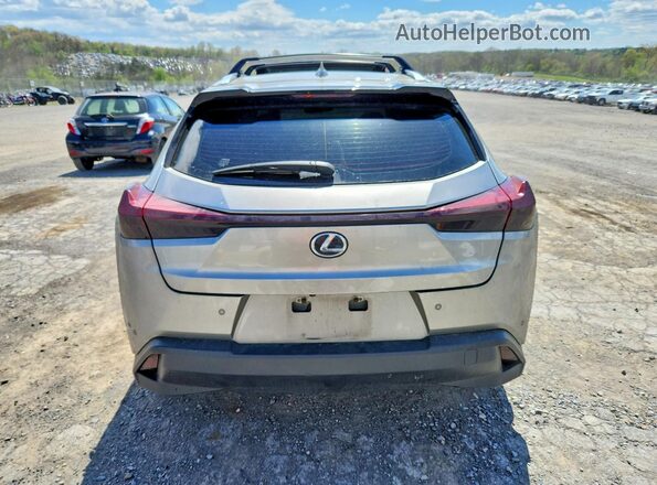 JTHP9JBH5M2053590 2021 LEXUS UX Silver Rear view