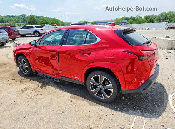 JTHP9JBH6N2060100 2022 LEXUS UX Red Հետևի ձախ
