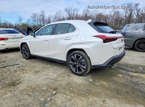 JTHP9JBH6R2076934 2024 LEXUS UX White Հետևի ձախ