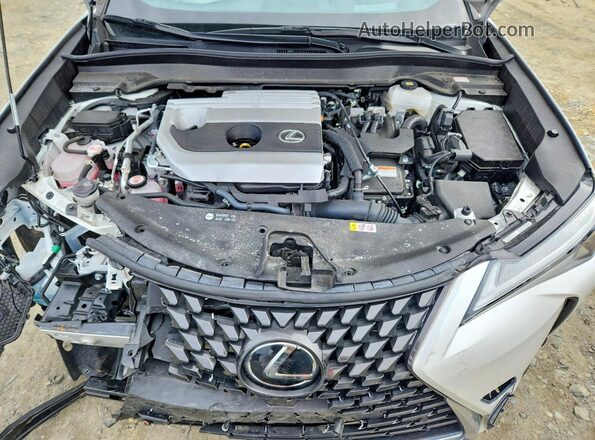 JTHP9JBH6R2076934 2024 LEXUS UX White Շարժիչի բաժամունքի տեսք
