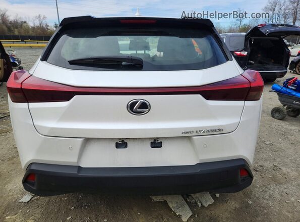 JTHP9JBH6R2076934 2024 LEXUS UX White Հետևի տեսք