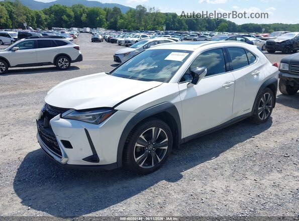 JTHP9JBH7L2021402 2020 LEXUS UX 250H Белый Передняя левая четверть