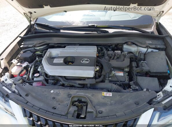 JTHP9JBH7L2021402 2020 LEXUS UX 250H Белый Вид сзади