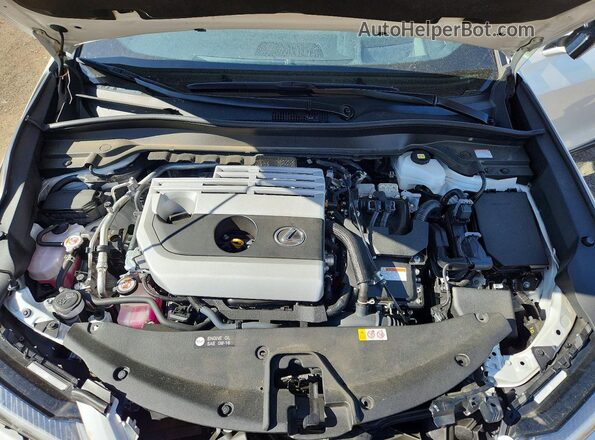 JTHP9JBH7R2079339 2024 LEXUS UX White 