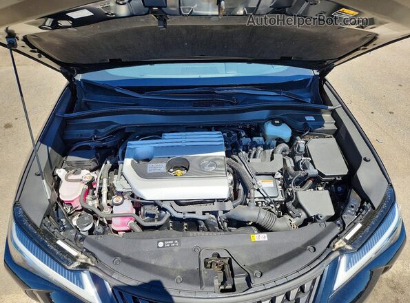 JTHP9JBH8N2062091 2022 LEXUS UX Black Вид задньої частини салону
