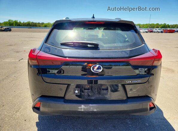 JTHP9JBH8N2062091 2022 LEXUS UX Black Вид ззаду