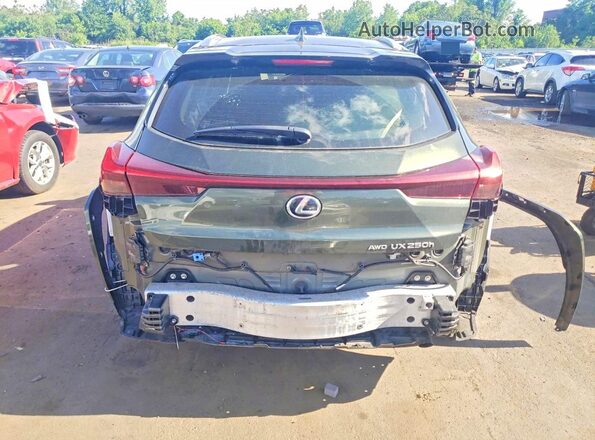 JTHP9JBH8P2066158 2023 LEXUS UX Green Vista trasera