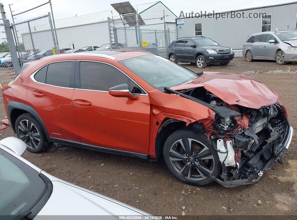 JTHP9JBH9L2031235 2020 LEXUS UX 250H Orange Widok wnętrza 360 stopni