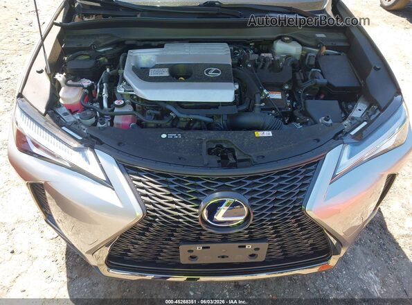 JTHR9JBH2M2048520 2021 LEXUS UX 250H Gray Հետևի տեսք