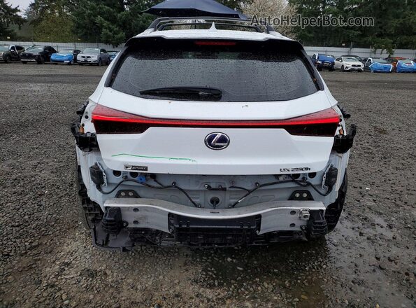 JTHR9JBHXM2052105 2021 LEXUS UX White უკანა ხედი