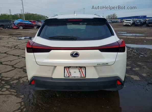 JTHU9JBH0K2011165 2019 LEXUS UX White უკანა ხედი