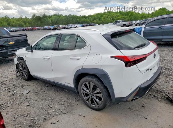 JTHU9JBH2K2006114 2019 LEXUS UX White Հետևի ձախ
