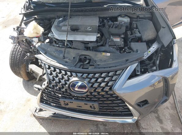JTHU9JBH4K2005286 2019 LEXUS UX 250H Серый Вид сзади