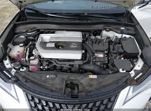 JTHU9JBH5K2004826 2019 LEXUS UX 250H White უკანა ხედი