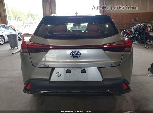 JTHU9JBH5K2010528 2019 LEXUS UX 250H Gray 