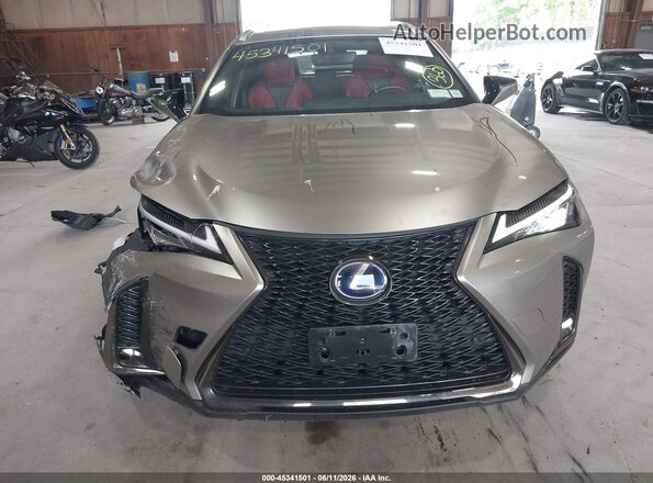 JTHU9JBH5K2010528 2019 LEXUS UX 250H Gray 