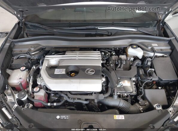 JTHU9JBH5K2010528 2019 LEXUS UX 250H Gray Հետևի տեսք
