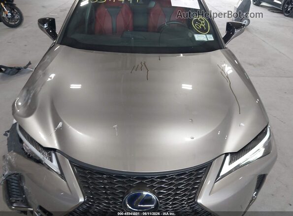 JTHU9JBH5K2010528 2019 LEXUS UX 250H Gray 