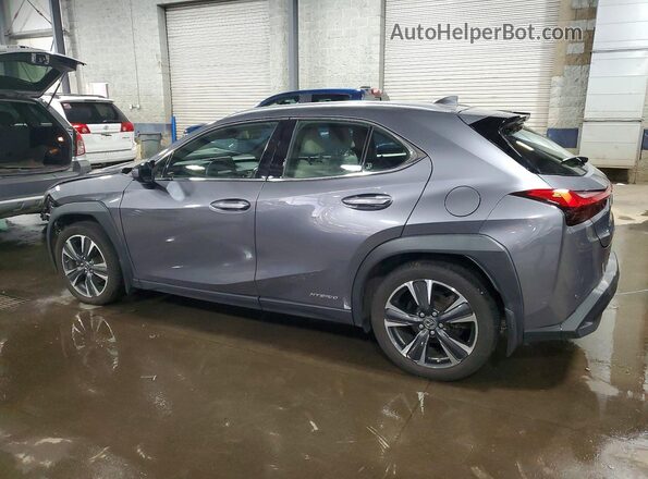 JTHU9JBH5K2019424 2019 LEXUS UX Gray უკანა მარცხენა