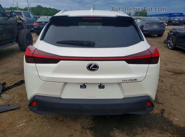 JTHU9JBH6K2008397 2019 LEXUS UX White Vista trasera