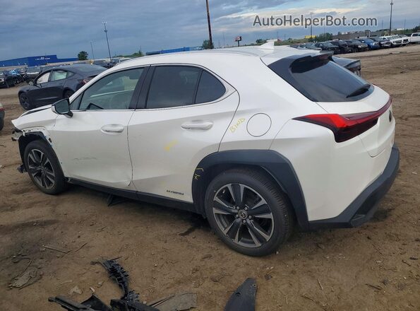 JTHU9JBH6K2008397 2019 LEXUS UX White Trasero izquierdo