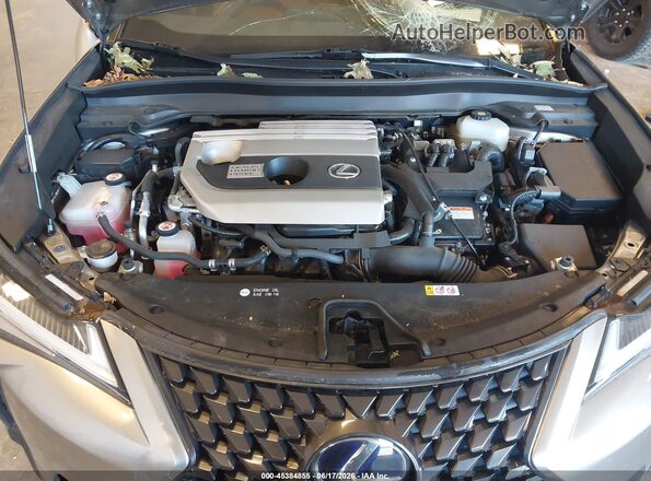 JTHU9JBH7K2006383 2019 LEXUS UX 250H Gray Вид ззаду