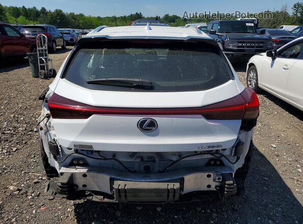 JTHU9JBH8K2018770 2019 LEXUS UX White Вид ззаду